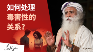如何处理毒害性的关系？