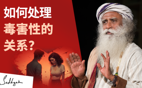 如何处理毒害性的关系？