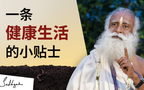 一条健康生活的小贴士