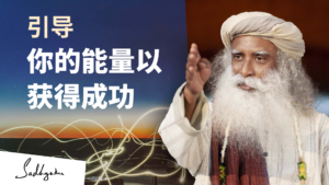 引导你的能量走向成功