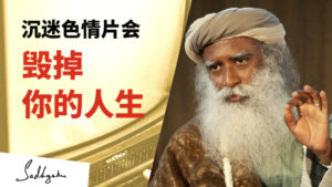 沉迷色情片会毁掉你的生活