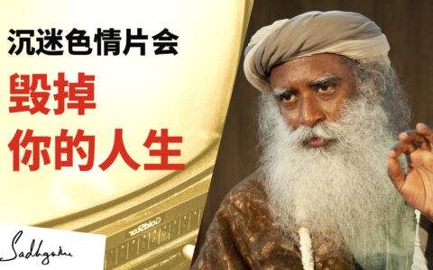 沉迷色情片会毁掉你的生活