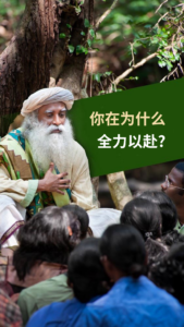 你在为什么全力以赴?