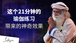香巴维大手印的奇效