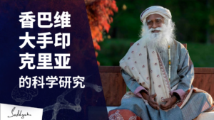 对香巴维大手印克里亚的科学研究