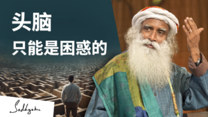 头脑只能是困惑的