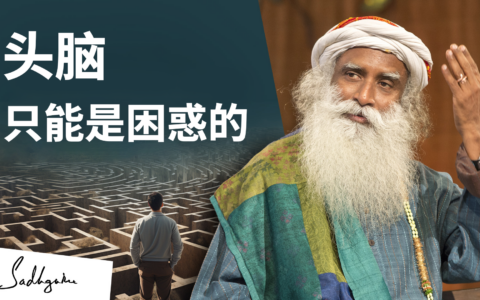 头脑只能是困惑的