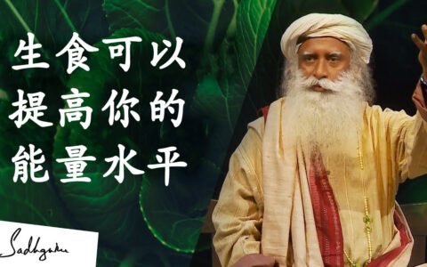 生食如何提高你的能量水平