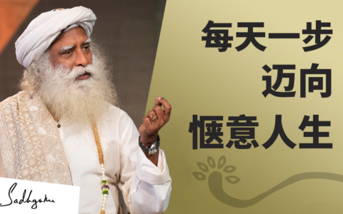 每天一步，迈向惬意人生