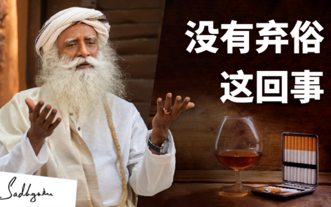 没有弃俗这回事——萨古鲁在IIT（印度理工学院）马德拉斯校区（第三部分）