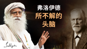 弗洛伊德所不解的头脑