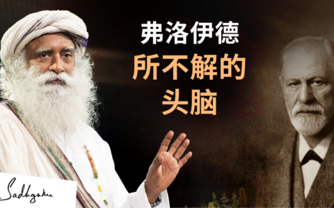 弗洛伊德所不解的头脑