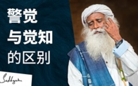警觉与觉知的区别