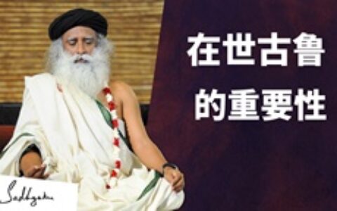 在世古鲁的重要性|萨古鲁