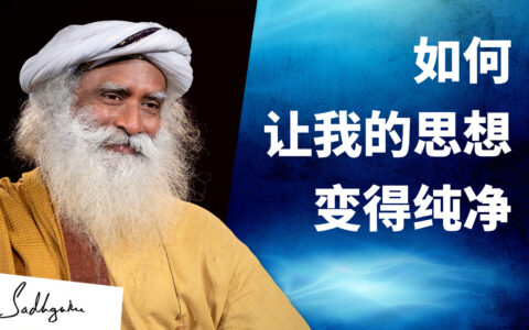 如何让我的思想变得纯净