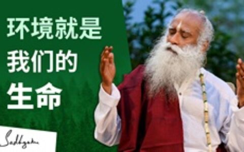 环境就是我们的生命