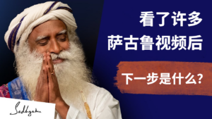 看了许多萨古鲁视频后，下一步是什么？