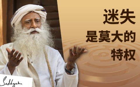 迷失是莫大的特权