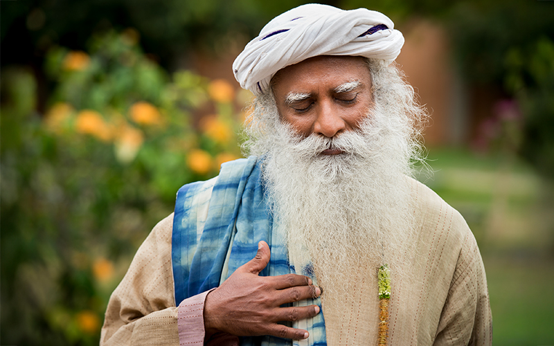 每日智慧，12月11日
