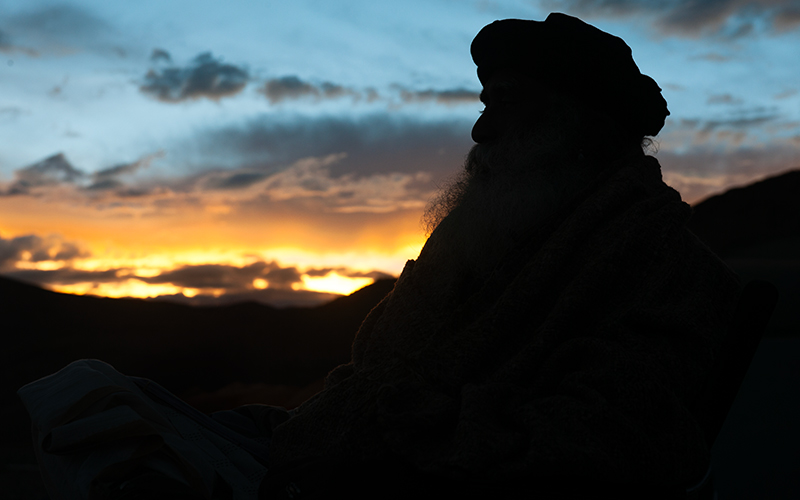 每日智慧，12月12日