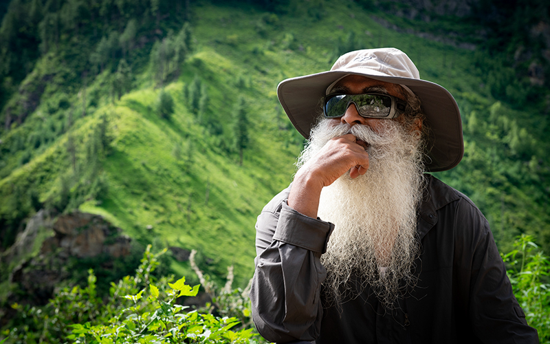 每日智慧，12月14日