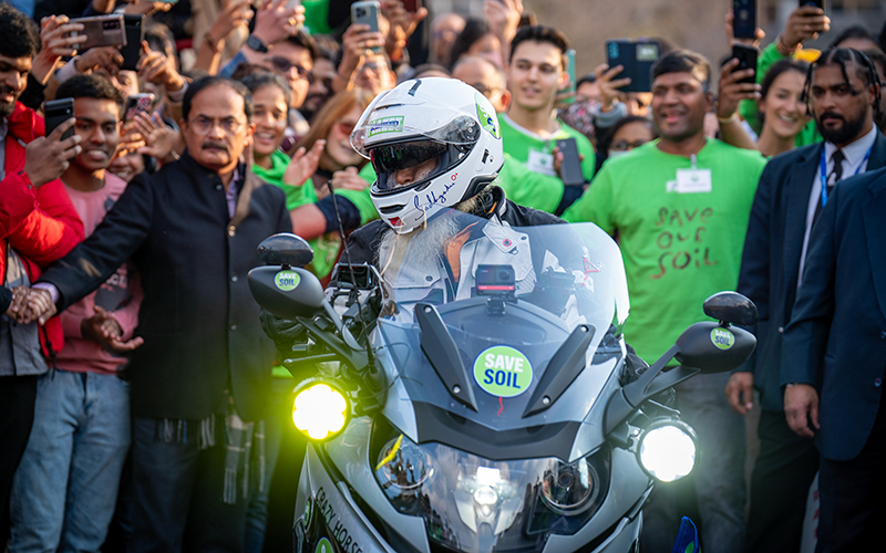每日智慧，12月2日