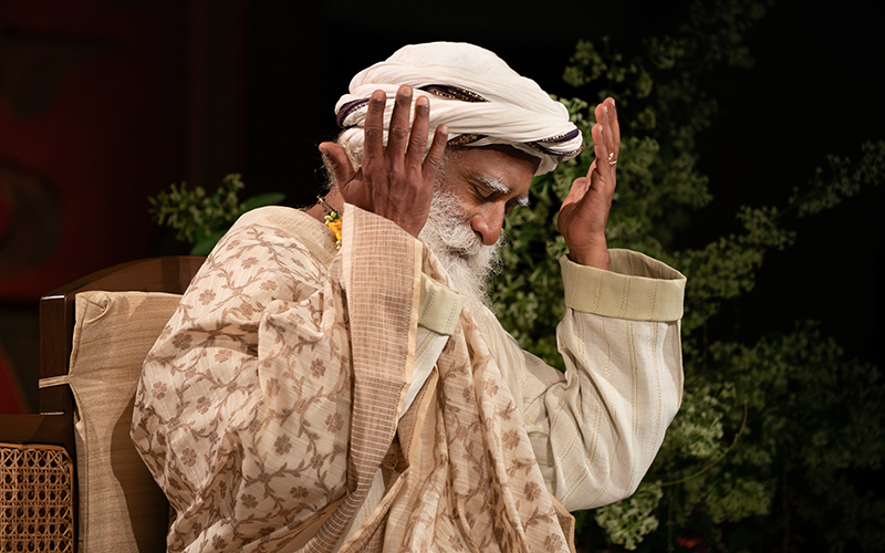 每日智慧，12月6日