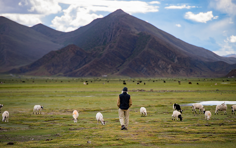 每日智慧，12月7日