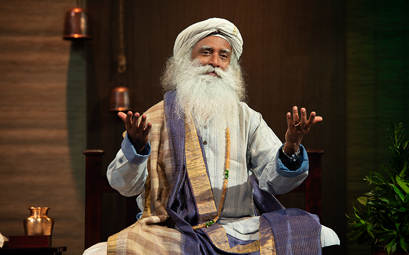 每日智慧，11月1日