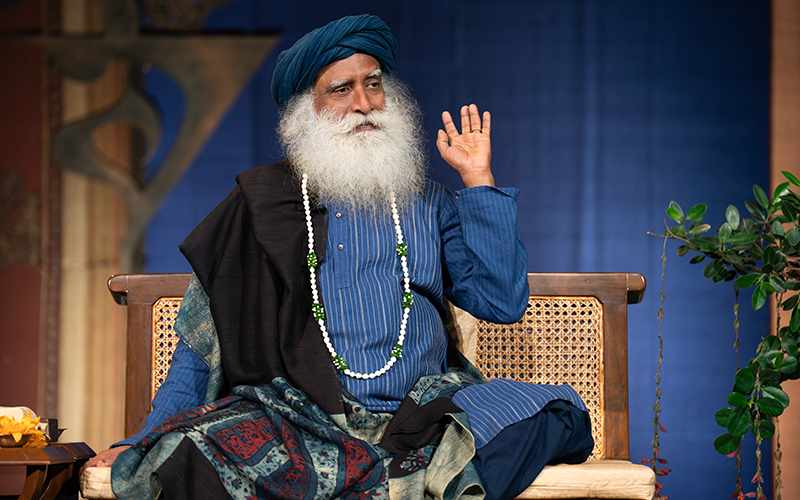 每日智慧，11月11日