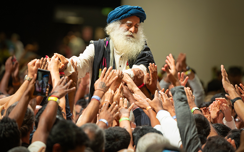 每日智慧，11月12日