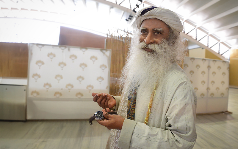 每日智慧，11月13日