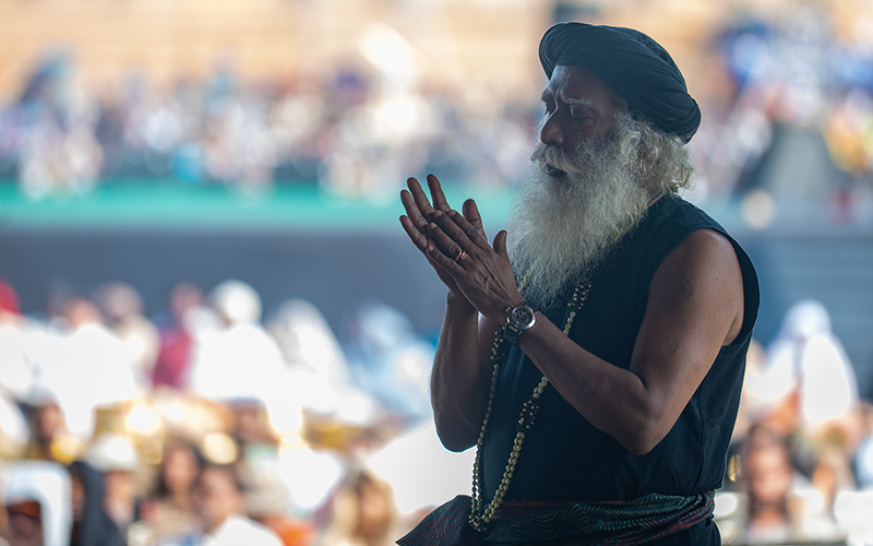 每日智慧，11月15日