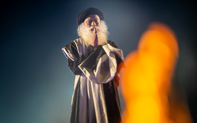 每日智慧，11月16日