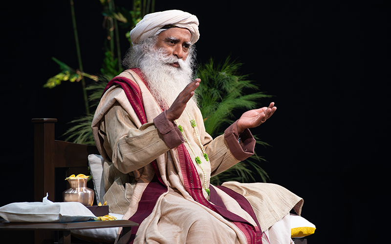 每日智慧，11月17日