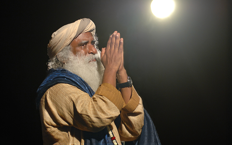 每日智慧，11月19日