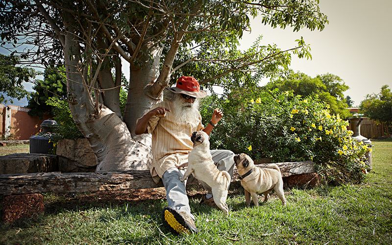 每日智慧，11月2日