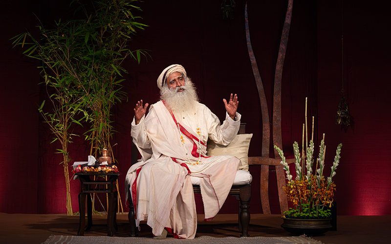 每日智慧，11月21日