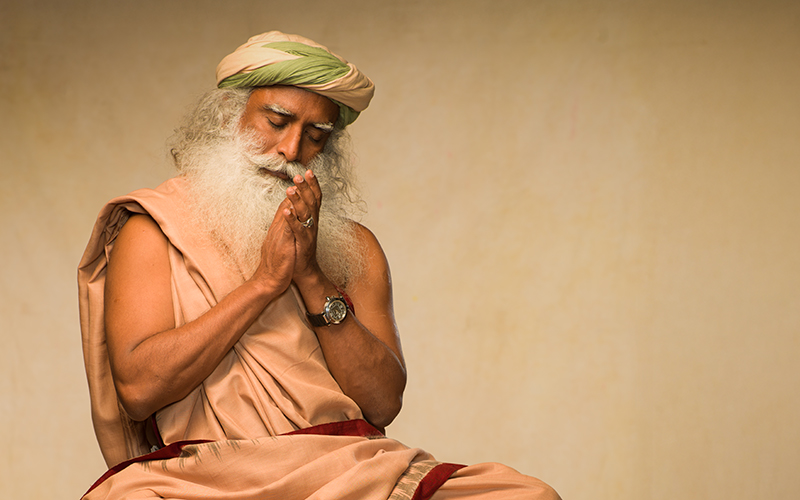 每日智慧，11月3日