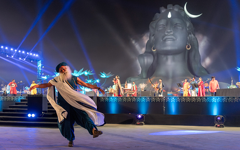 每日智慧，11月6日