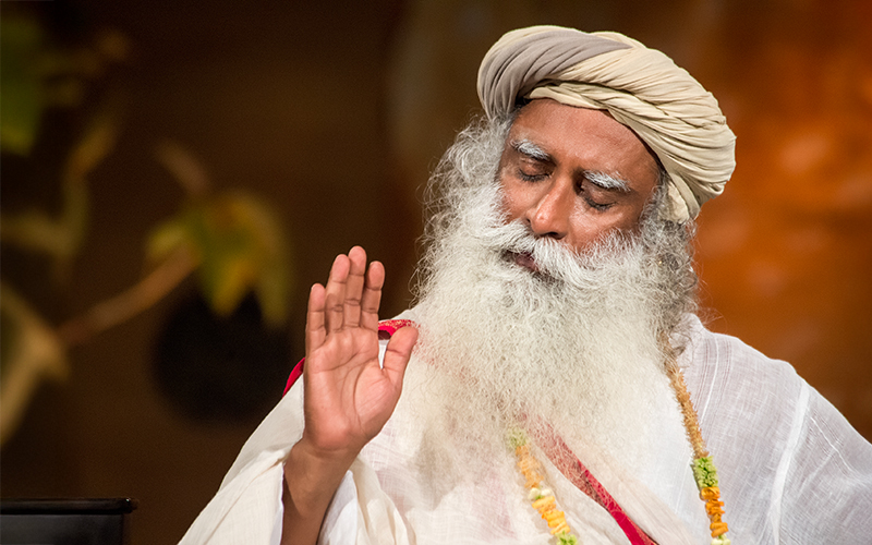 每日智慧，11月7日