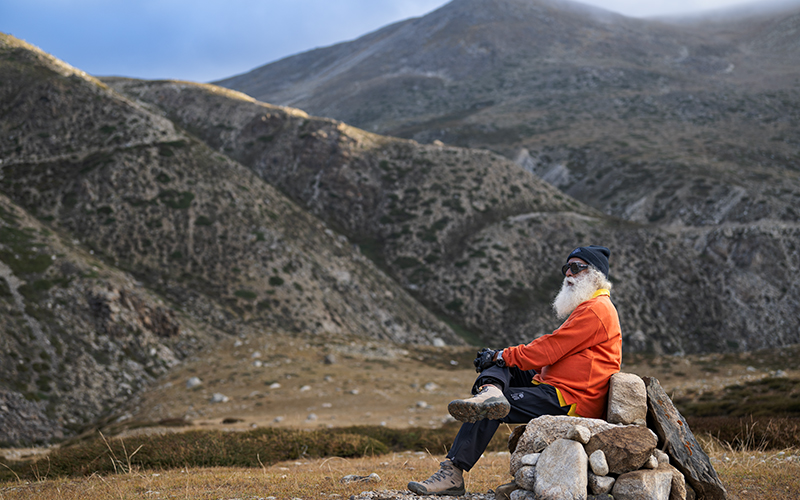 每日智慧，11月8日