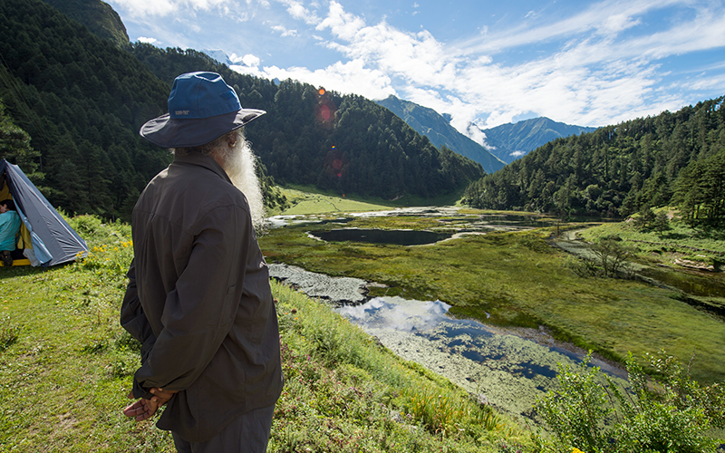 每日智慧，11月9日