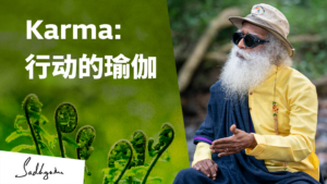Karma: 行动的瑜伽