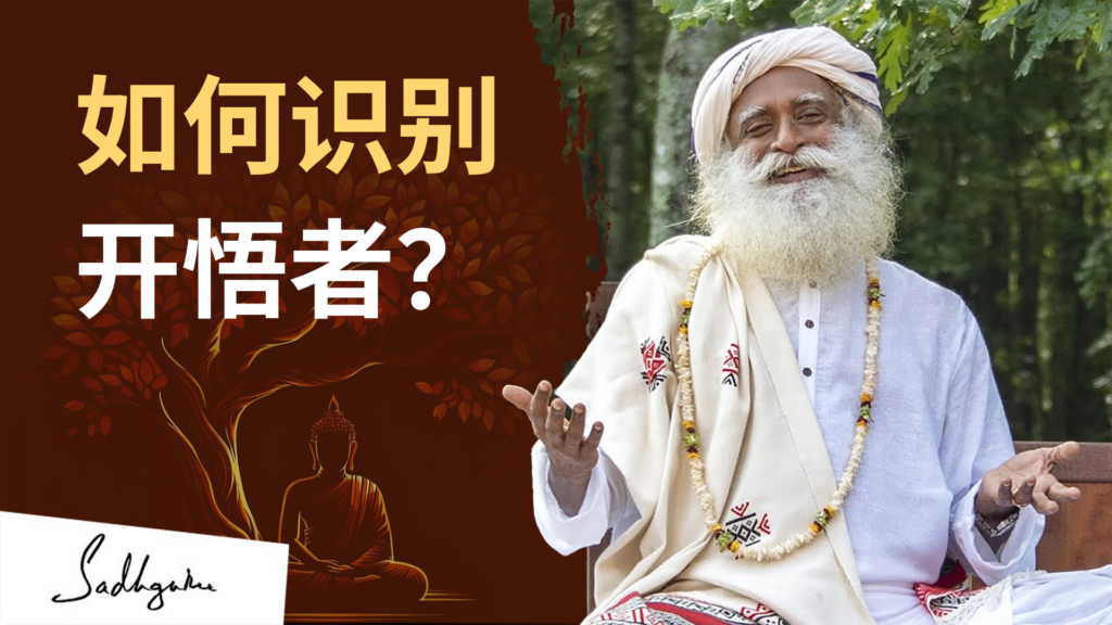 如何识别开悟之人