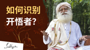如何识别开悟之人