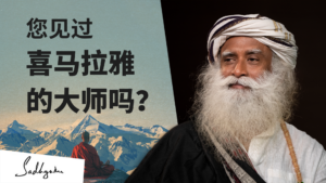 您见过喜马拉雅的大师吗？
