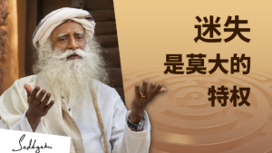迷失是一种莫大的特权