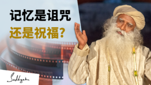 记忆是诅咒还是祝福？