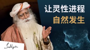让灵性进程自然发生